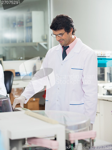 Image of Researcher Working In Laboratory