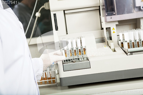 Image of Technician Using Urine Analyzer In Lab