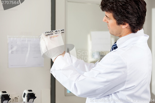 Image of Technician Analyzing Microplate In Lab