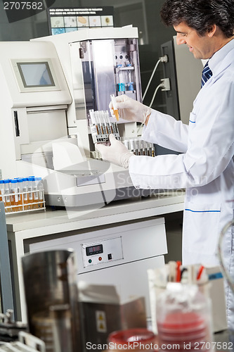 Image of Scientist Using Urine Analyzer To Test Samples