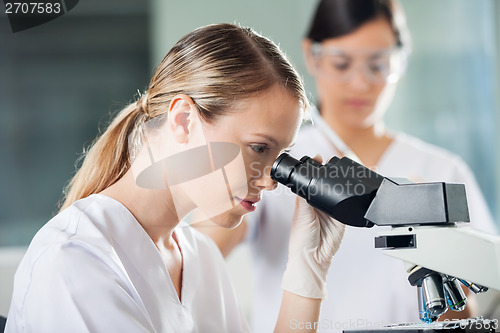 Image of Female Technician Looking Into Microscope