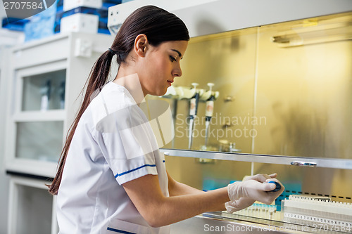 Image of Technician Filling Chemical In Testtube