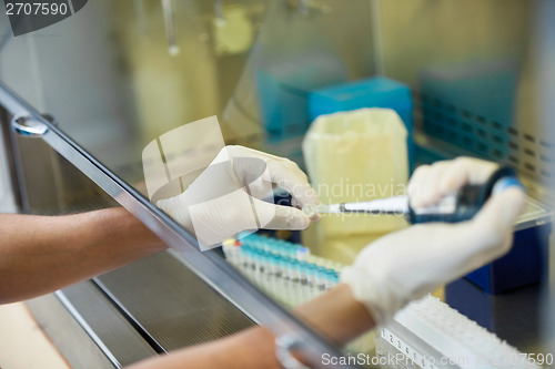 Image of Researcher Filling Chemical In Testtube