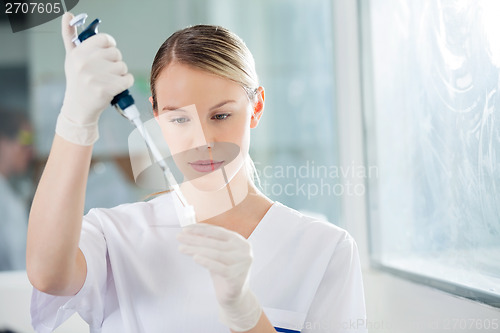 Image of Scientist Filling Liquid Into Test Tube In Medical Lab