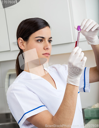 Image of Technician Analyzing Blood Sample