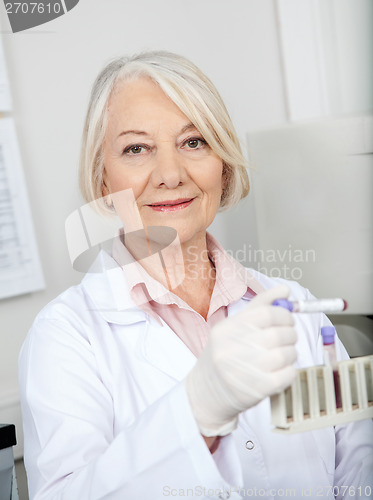 Image of Scientist Analyzing Blood Sample In Laboratory