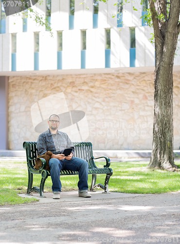 Image of Student Sitting On Bench At University Campus