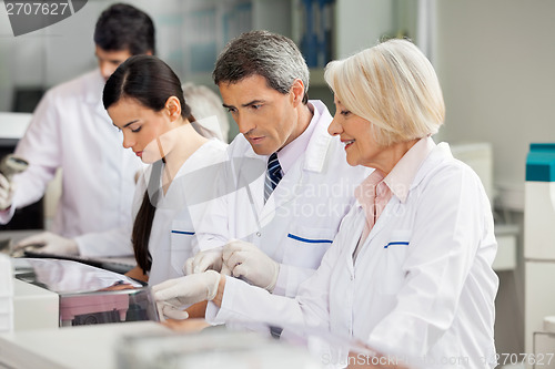 Image of Researcher Discussing With Colleague