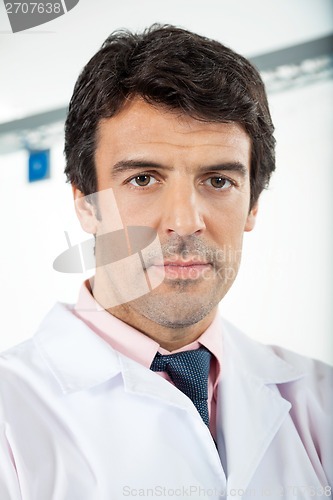 Image of Male Technician In Laboratory