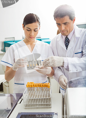 Image of Researchers Examining Chemicals
