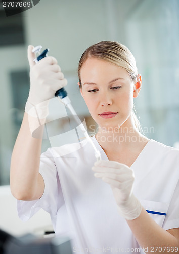 Image of Healthcare Worker Filling Solution Into Test Tube