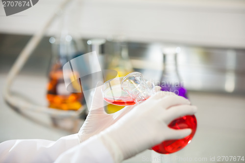 Image of Scientist Pouring Red Liquid Into Petri Dish