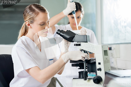 Image of Scientist Using Microscope In Lab