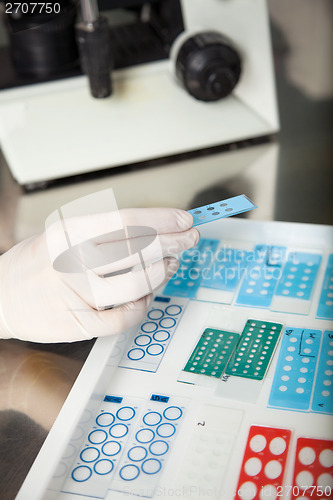 Image of Scientist Holding Microscope Slide