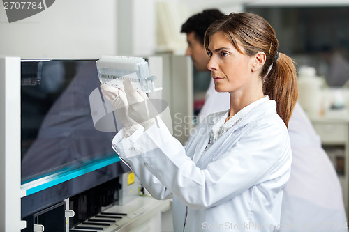 Image of Technician Analyzing Samples