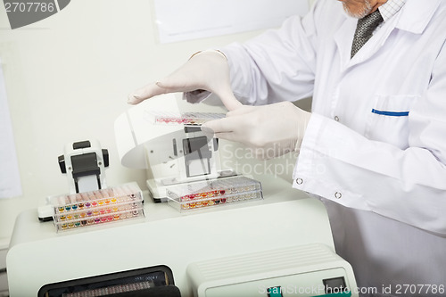 Image of Scientist Examining Microplate In Lab