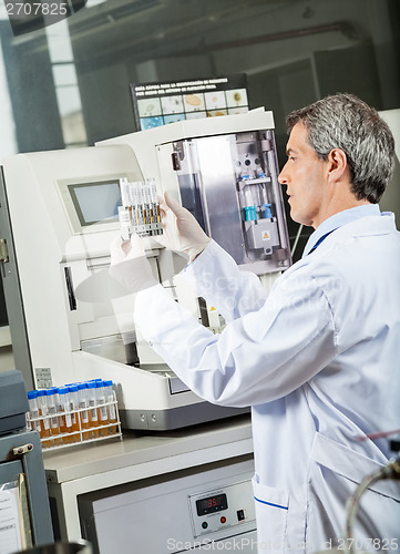 Image of Researcher Analyzing Urine Samples In Lab