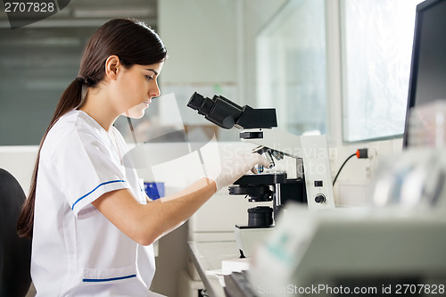 Image of Female Scientist Using Microscope In Lab