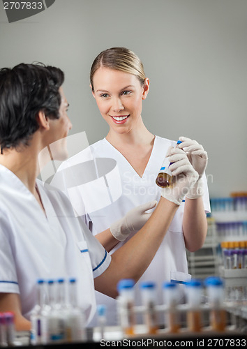 Image of Happy Technicians Analyzing Sample In Lab