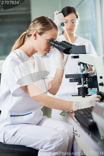 Image of Scientist Looking Into Microscope In Lab