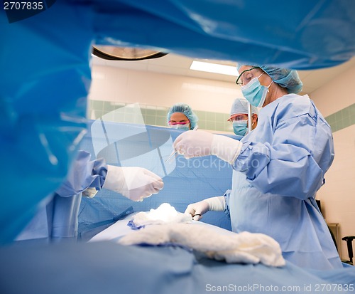 Image of Team Of Doctors Operating Patient