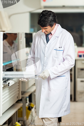 Image of Technician Placing Samples In Analyzer