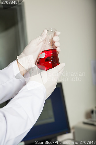 Image of Scientist Analyzing Red Liquid In Flask