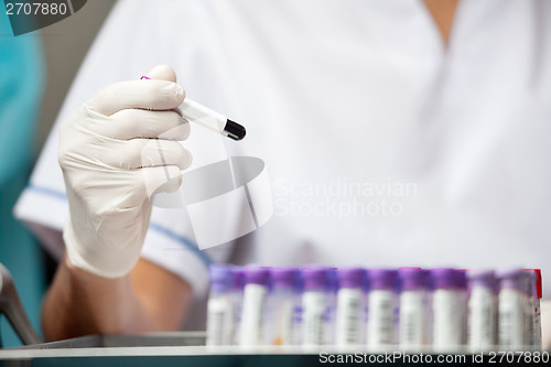 Image of Researcher Analyzing Sample In Laboratory