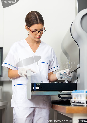 Image of Researcher Loading Samples Into Analyzer In Lab