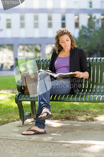 Image of University Student Reading Book On Bench