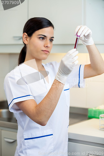 Image of Technician Analyzing Blood Sample