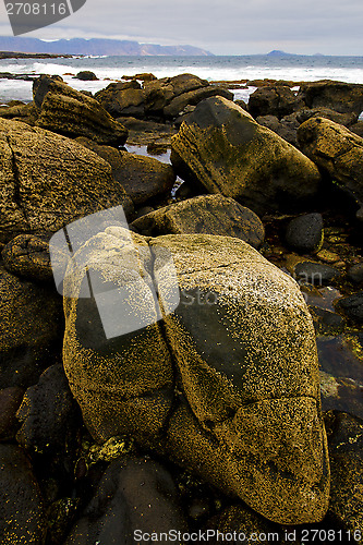 Image of musk pond beach  water 