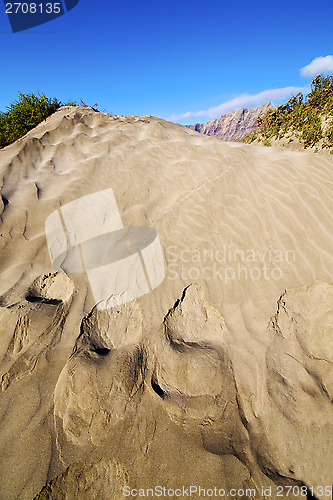Image of abstract  dune beach  hil and mountain in the   lanzarote spain 