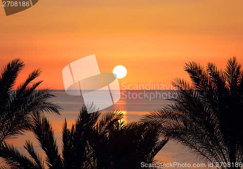 Image of palms and sunrise over sea