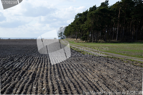 Image of Field at springtime