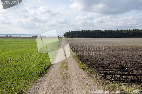 Image of Dirt road in a rural landscpae