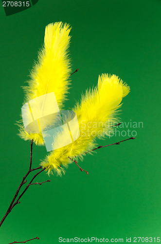 Image of Easter feathers at green background