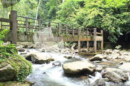 Image of Bridge over the waterfall in Forest 