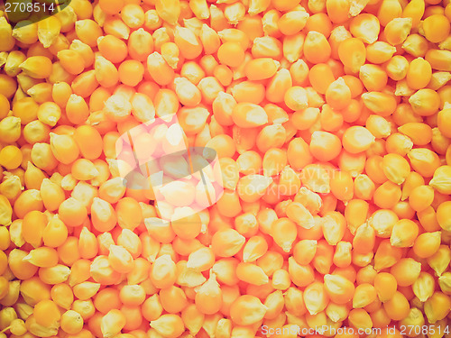 Image of Retro look Maize corn
