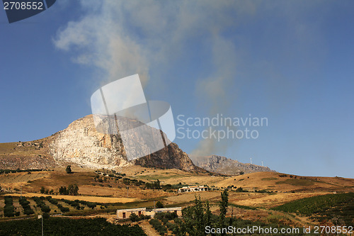 Image of Forest fire