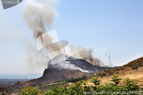 Image of Forest fire