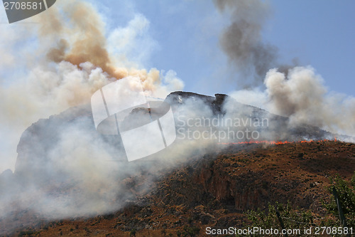 Image of Forest fire