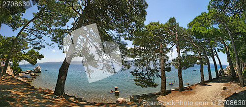 Image of Saltwater beach