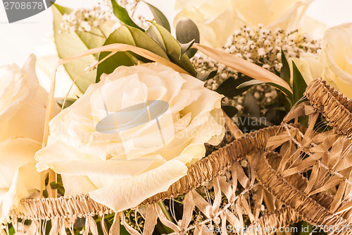 Image of White rose