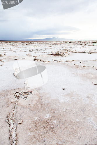 Image of Salt Desert