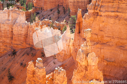 Image of Bryce Canyon