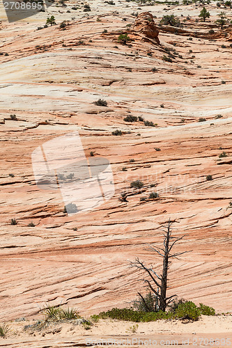 Image of Zion National Park