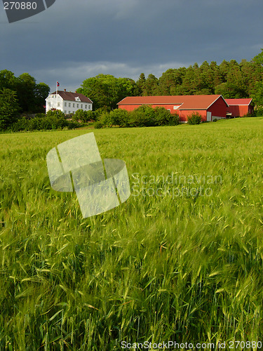 Image of Farmland in Soft light # 01