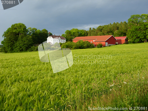 Image of Farmland in Soft light # 02