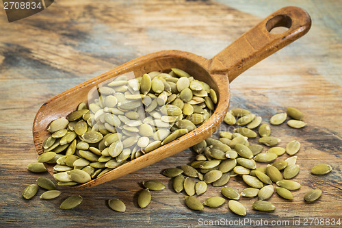 Image of pumpkin seeds